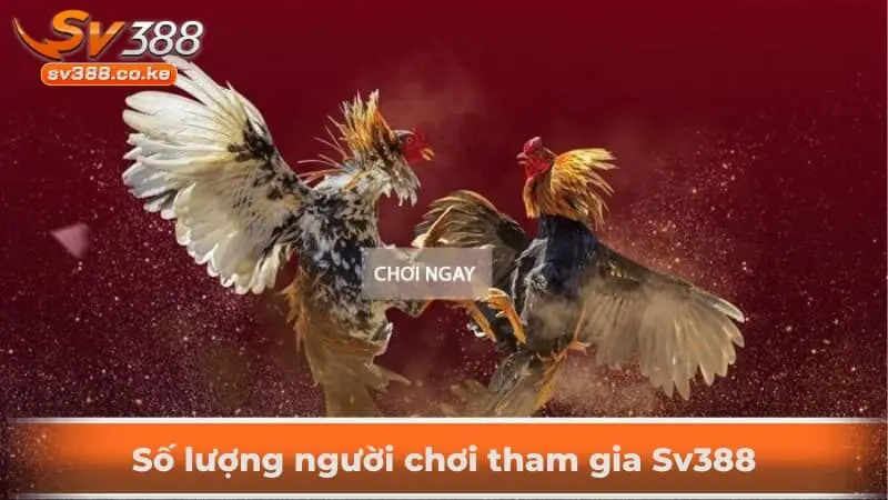 Số lượng người chơi tham gia Sv388
